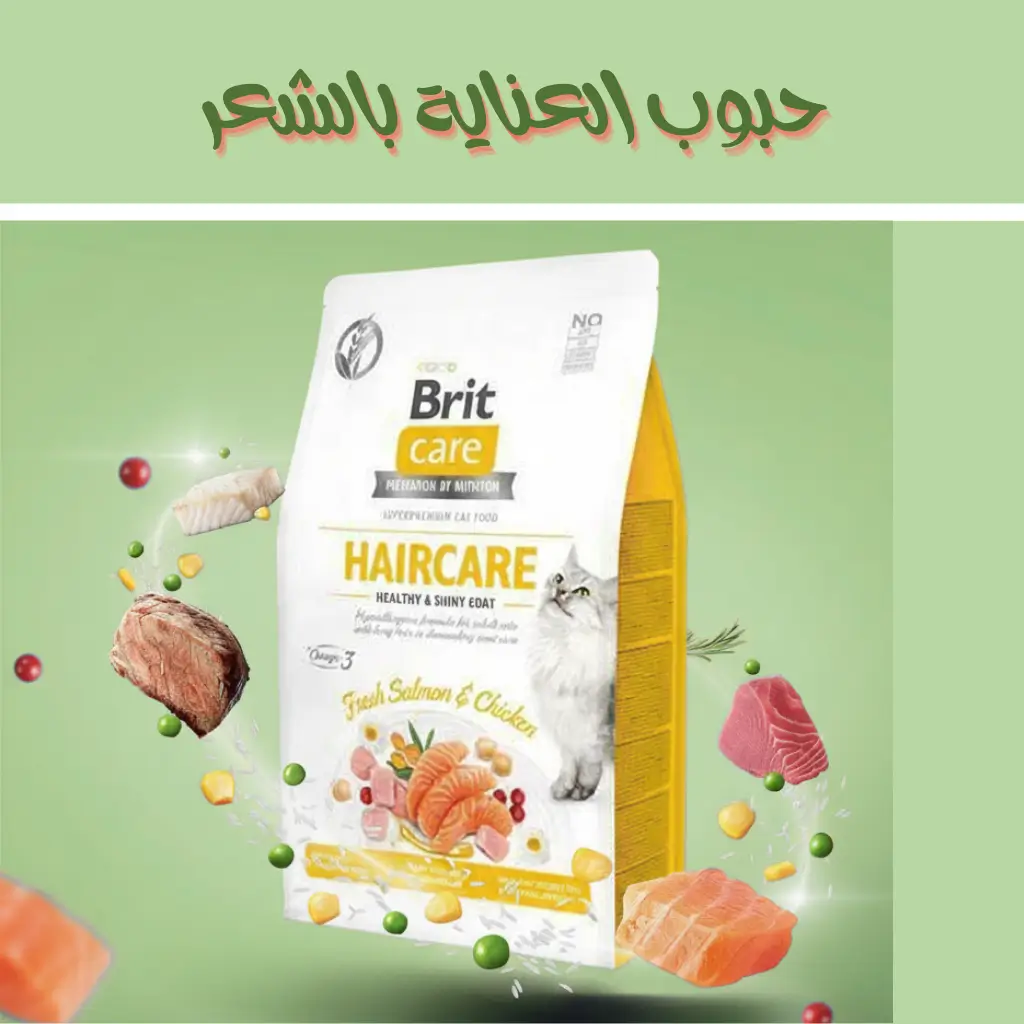 متجر التنين لمستلزمات الحيوانات الأليفة