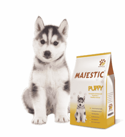 majestic طعام للكلاب الصغيرة 4 كيلو