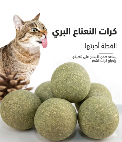 كات نيب للقطط 5 كور