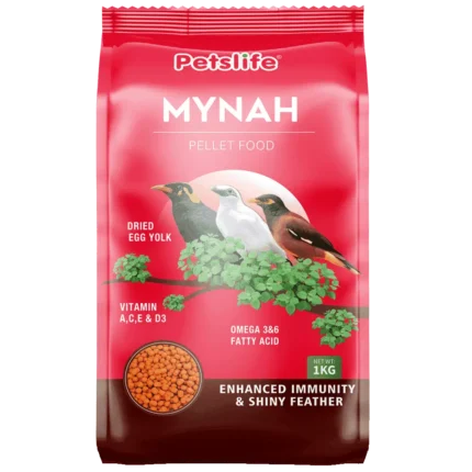 طعام لطيور المينا والبلابل