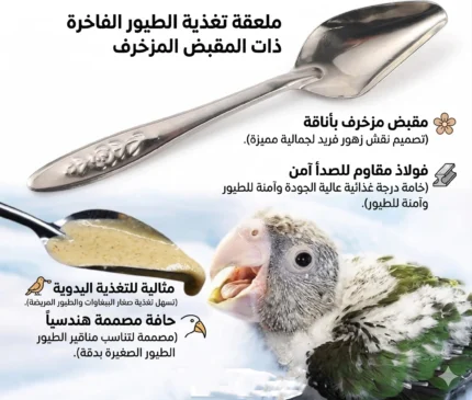 معلقة غر للطيور